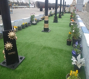 پایه پارکی