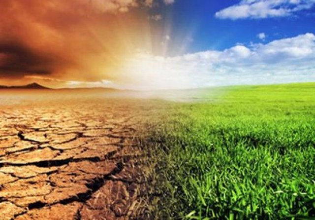 تغییر اقلیم عامل خشکسالی ‌ها و ترسالی‌ های طولانی در کشور