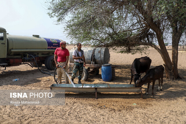 اجرای ۶۷ پروژه برای حل مشکل تنش آبی خوزستان