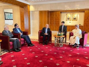 رایزنی وزیر نفت ایران با همتای عمانی خود در مسقط - مهرشید نیرو