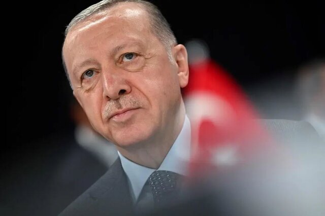 مذاکرات ترکیه برای حذف دلار در واردات انرژی روسیه - مهرشید نیرو